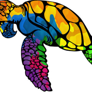 Turtle Vinyl Decal