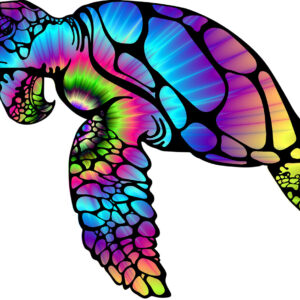 Color Burst Turtle Vinyl Decal