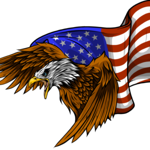 American Eagle American Flag Decal