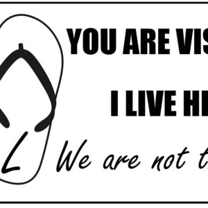 Florida We are not the same Vinyl Decal