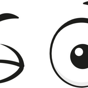 Googly Eyes Wink Vinyl Decal