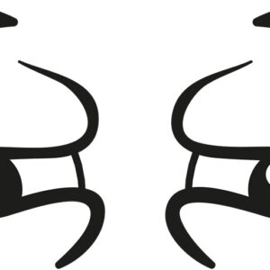 Googly Eyes Squint Vinyl Decal