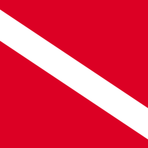Dive Flag Decal Scuba Diving Diver Search Rescue Boat SAR Vinyl Sticker VAR - DECALS OF AMERICA