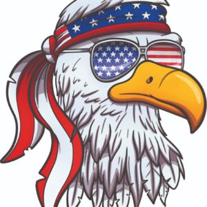 AMERICAN FLAG BALD EAGLE USA Flag DECAL STICKER TRUCK VEHICLE WINDOW Patriotic - DECALS OF AMERICA