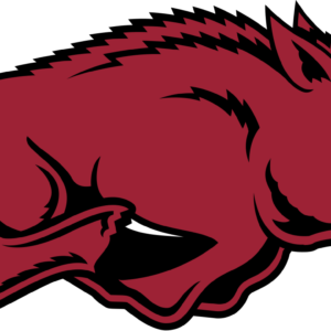 Arkansas Razorbacks NCAA Football Vinyl Sticker Car Truck Window Decal Laptop