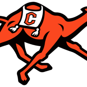 Campbell University Fighting Camels NCAA Football Vinyl Decal for Car Truck Window Laptop - DECALS OF AMERICA
