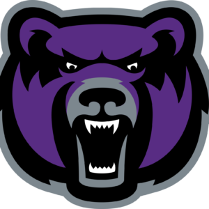 Central Arkansas Bears NCAA Football Vinyl Decal for Car Truck Window Laptop