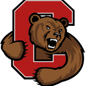 Cornell Big Red NCAA Football Vinyl Decal for Car Truck Window Laptop - DECALS OF AMERICA