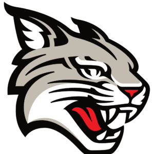 Davidson Wildcats NCAA Football Vinyl Decal for Car Truck Window Laptop - DECALS OF AMERICA
