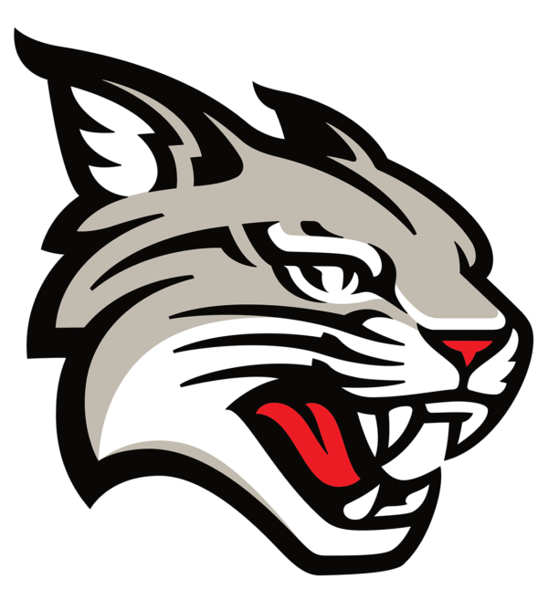 Davidson Wildcats NCAA Football Vinyl Decal for Car Truck Window Laptop - DECALS OF AMERICA