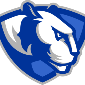 Eastern Illinois Panthers NCAA Football Vinyl Decal for Car Truck Window Laptop