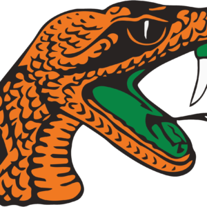 Florida A&M Rattlers NCAA Football Vinyl Decal for Car Truck Window Laptop - DECALS OF AMERICA