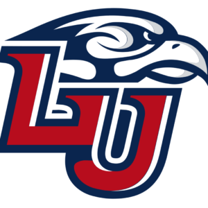 Liberty Flames NCAA Football Vinyl Decal for Car Truck Window Laptop - DECALS OF AMERICA