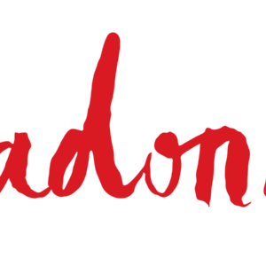 Madonna logo Vinyl Decal for Car Truck Window Laptop