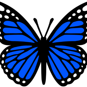 Blue Monarch Butterfly Vinyl Decal Sticker - DECALS OF AMERICA