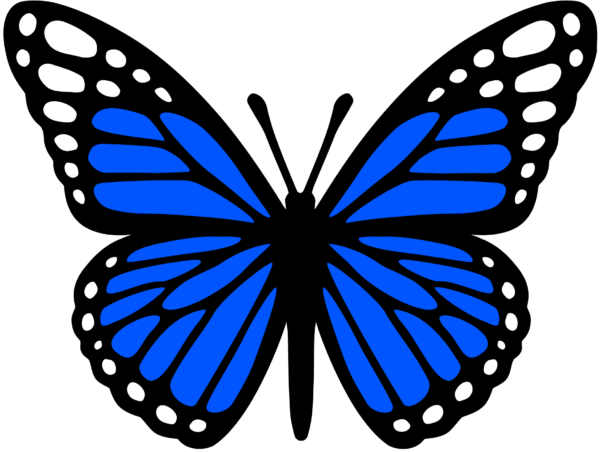 Blue Monarch Butterfly Vinyl Decal Sticker - DECALS OF AMERICA